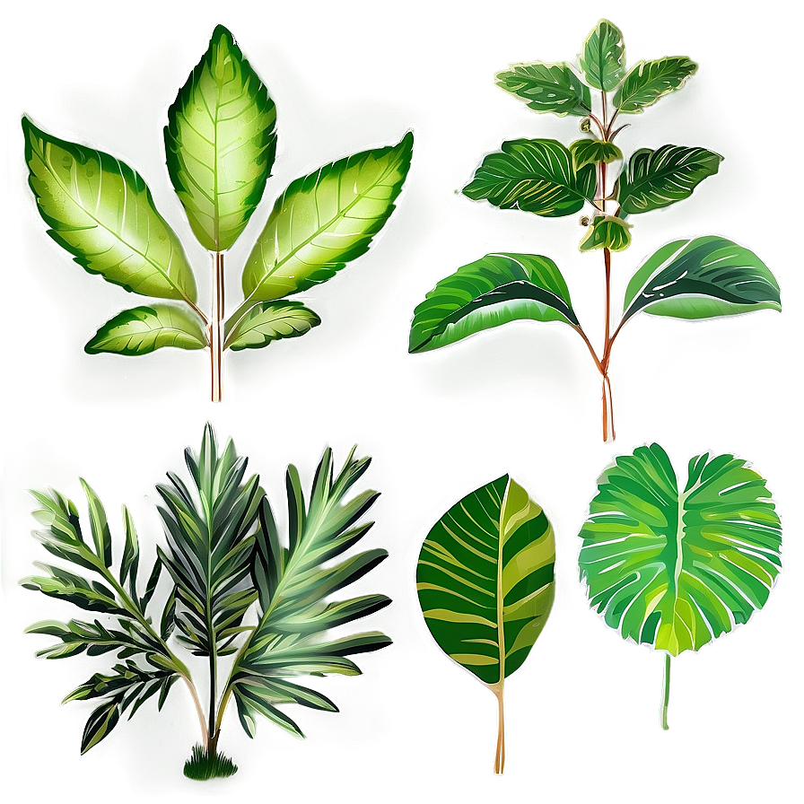 Leafy Plants Png Vnw PNG Image