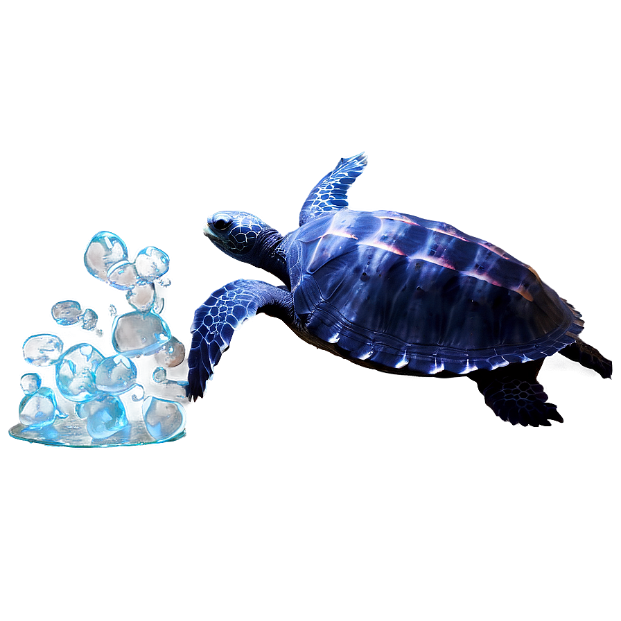 Leatherback Turtle With Jellyfish Png Tdb46 PNG Image