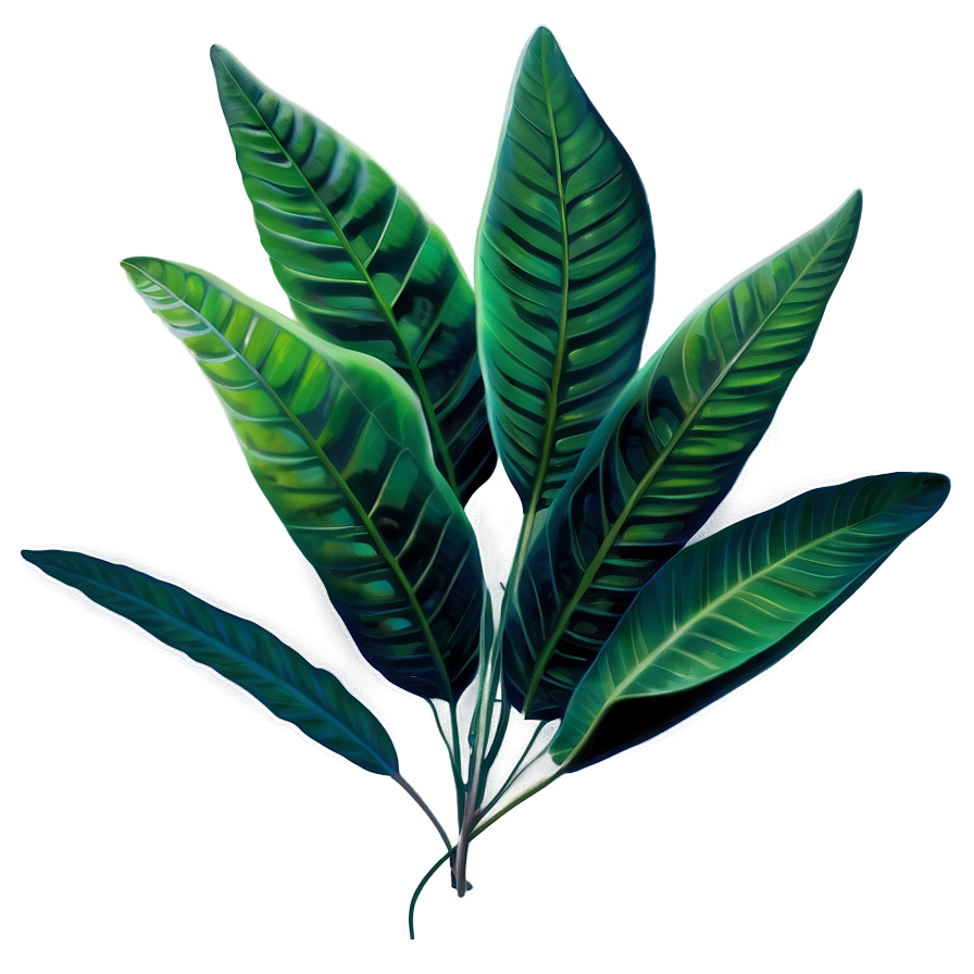 Leaves A PNG Image