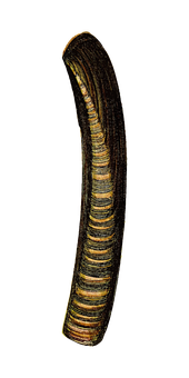 Leechin Darkness PNG Image