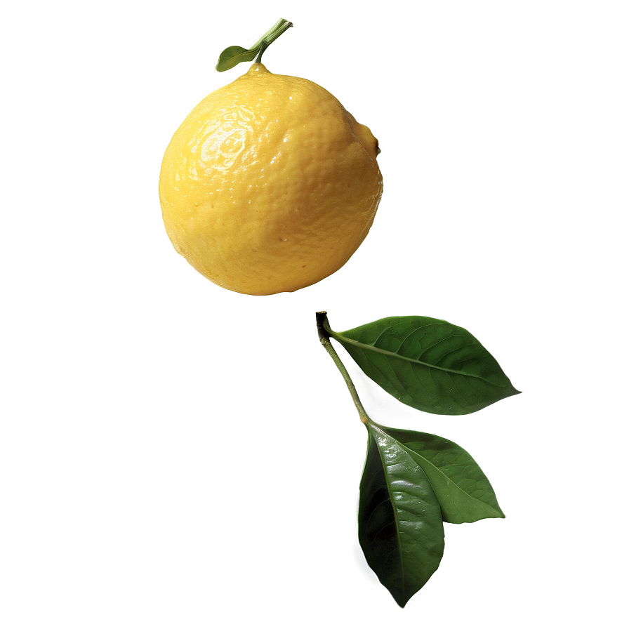 Lemon Essential Oil Png 05042024 PNG Image