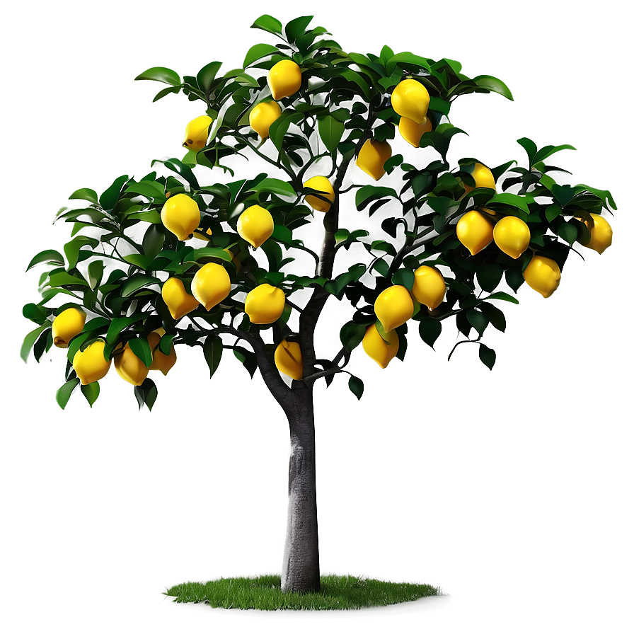 Lemon Tree Sunset Background Png Epg56 PNG Image