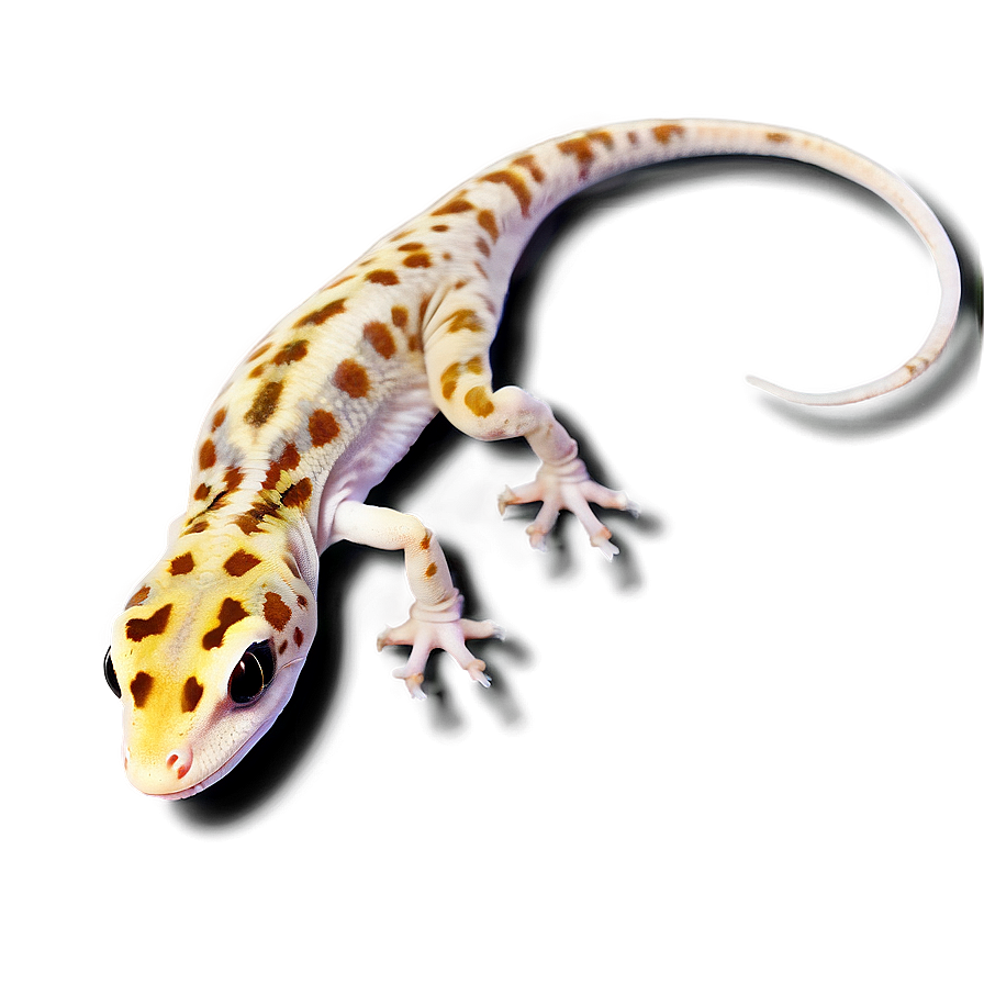 Leopard Gecko Climbing Png 06202024 PNG Image