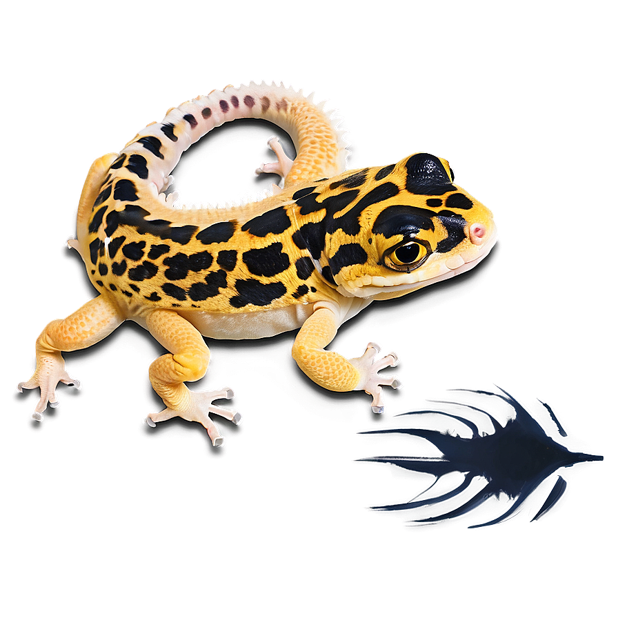 Leopard Gecko Skin Texture Png Aao PNG Image