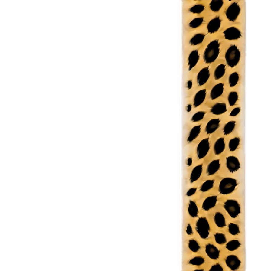 Leopard Print Border Png 05212024 PNG Image