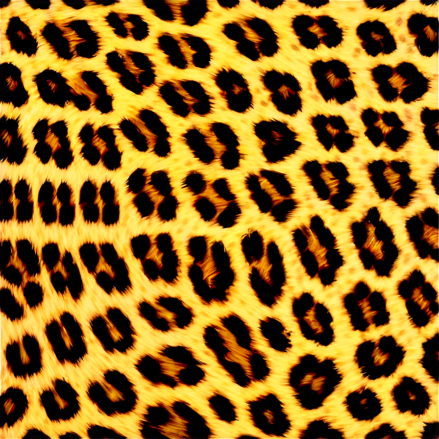 Leopard Print Border Png 64 PNG Image