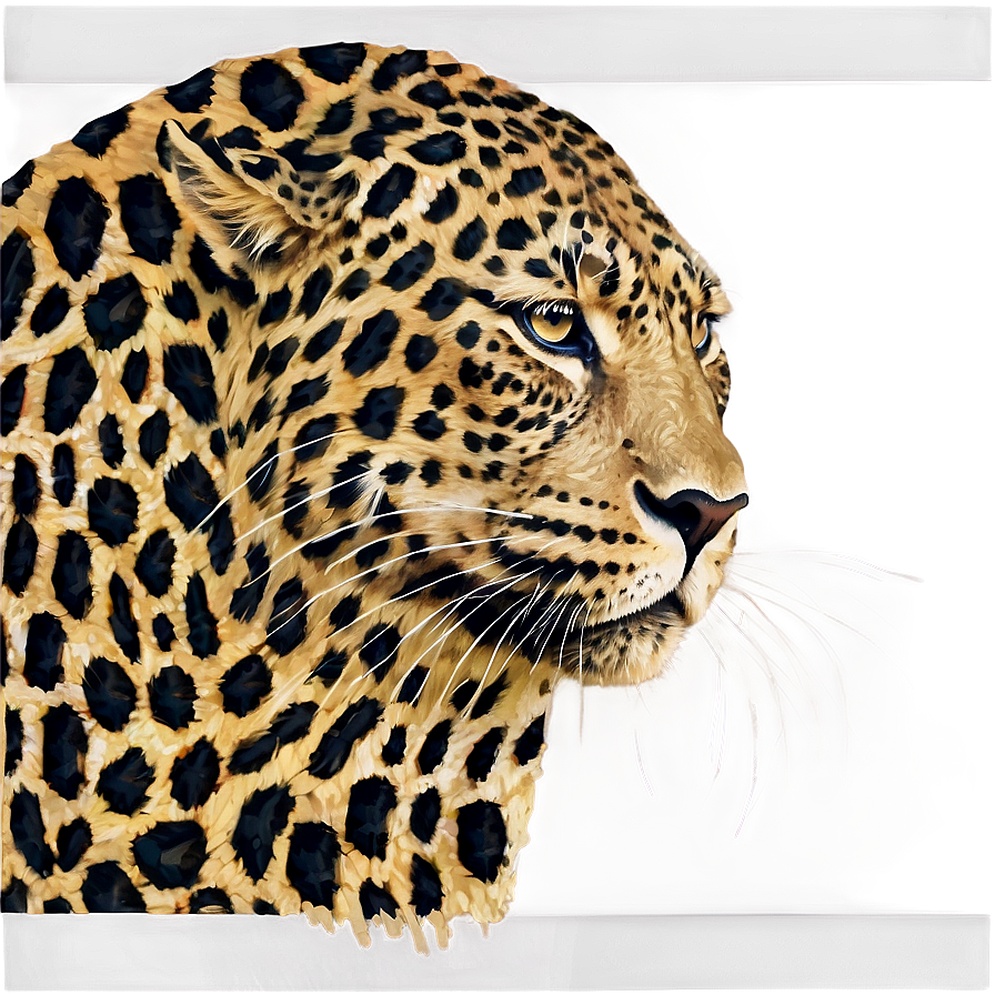 Leopard Print Illustration Png 05212024 PNG Image