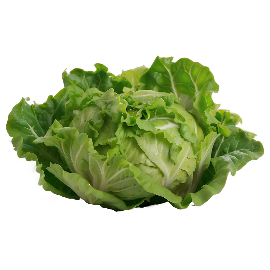 Lettuce Salad Ingredient Png 05242024 PNG Image