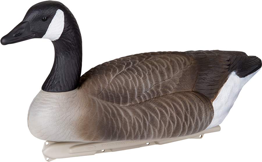 Lifelike Goose Decoy PNG Image