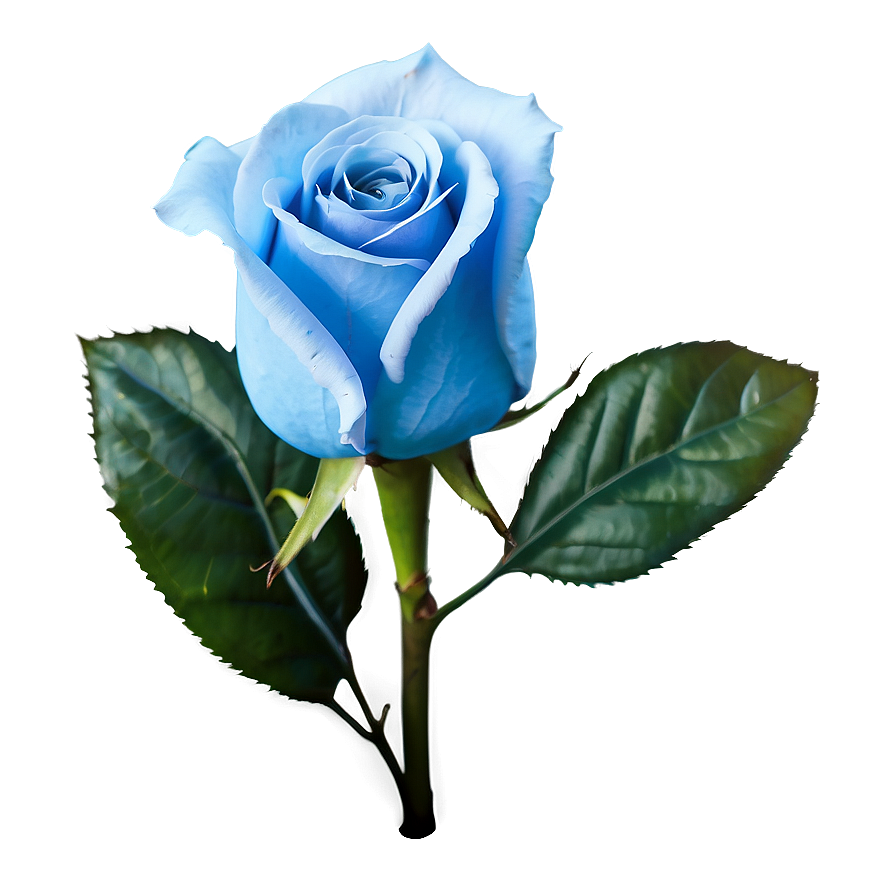 Light Blue Rose Png Tsn PNG Image