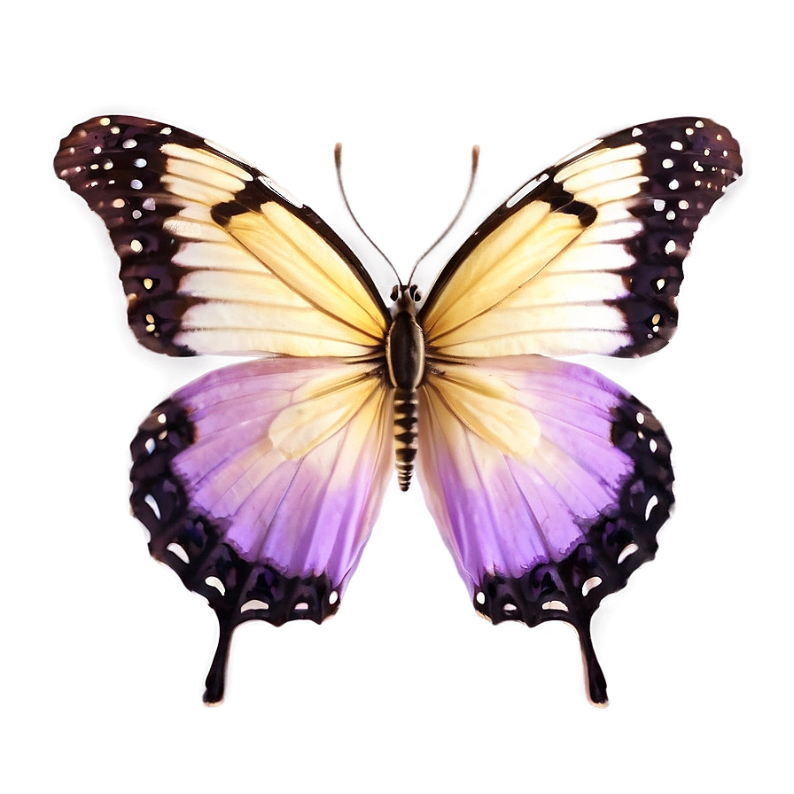 Light Purple Butterfly Png 37 PNG Image