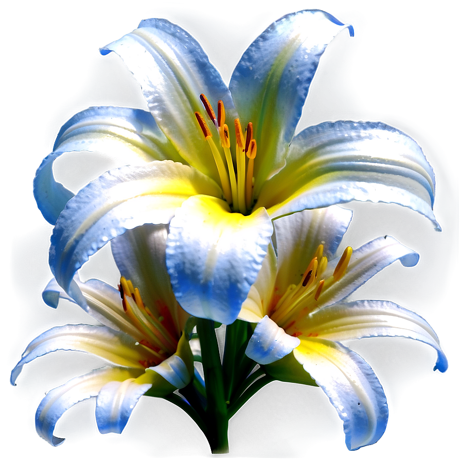 Lilies And Daisies Png 10 PNG Image