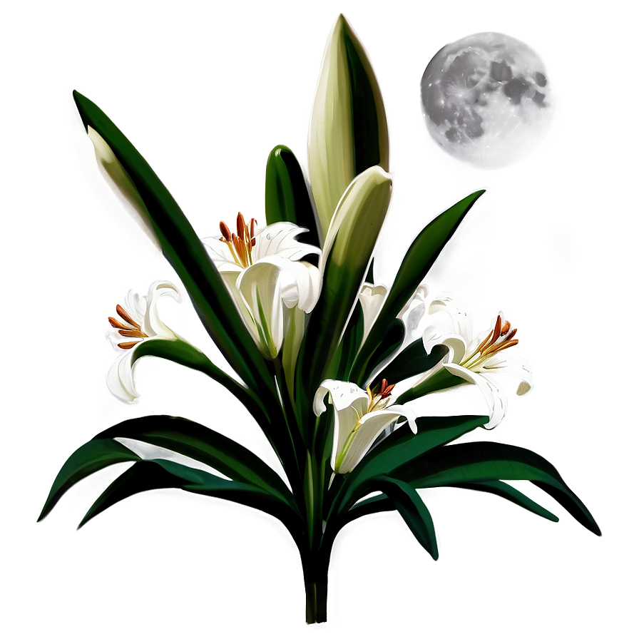 Lilies In Moonlight Png Ynq47 PNG Image