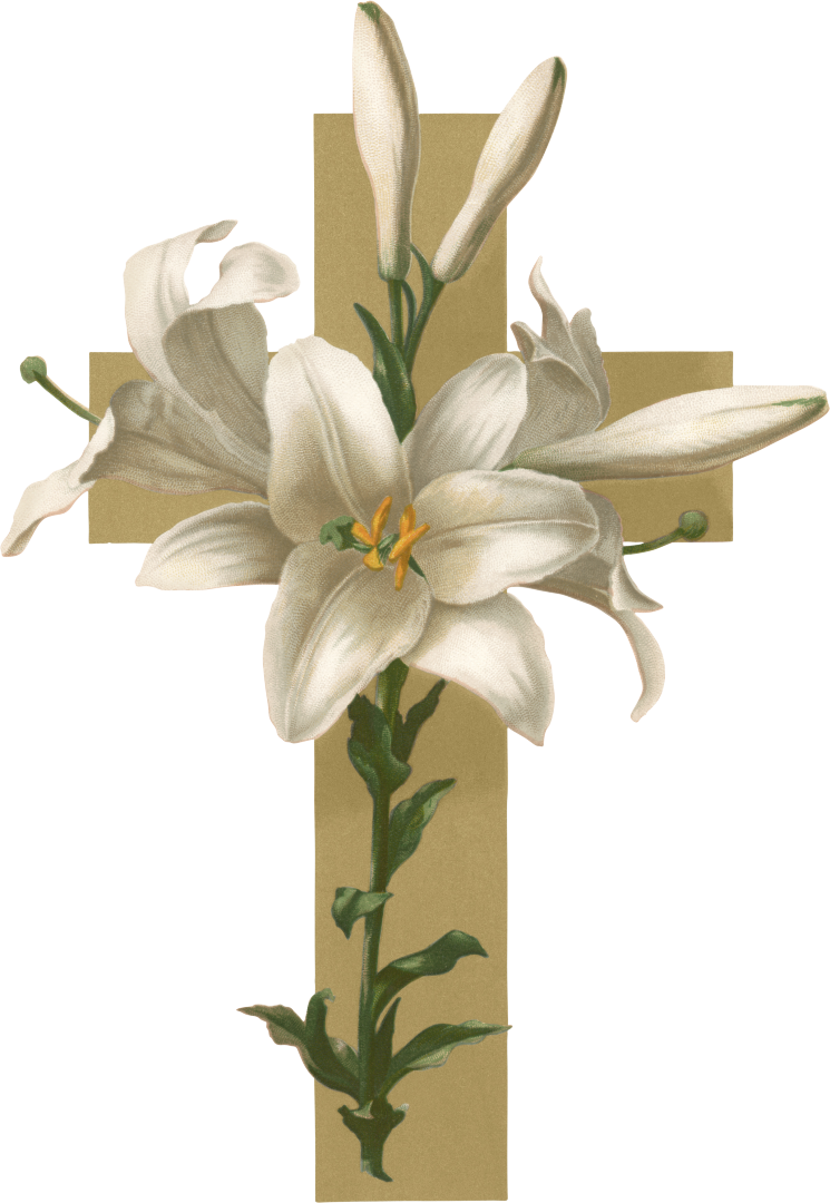 Lily Cross Funeral Symbol PNG Image