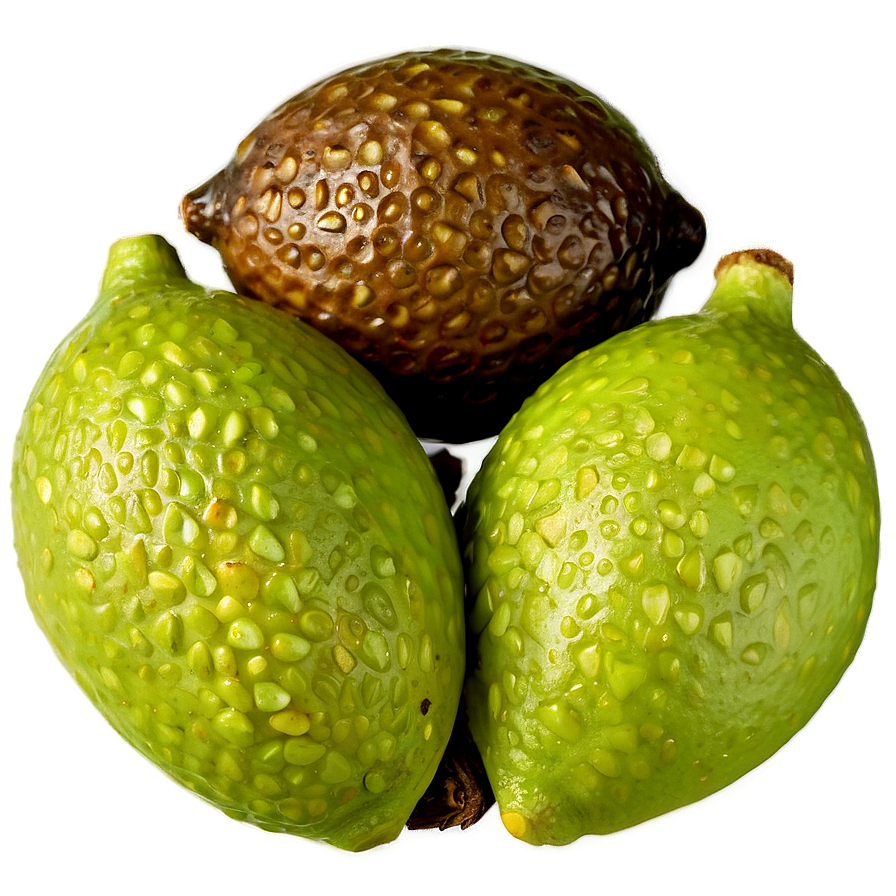 Lime Seed Png Yru PNG Image