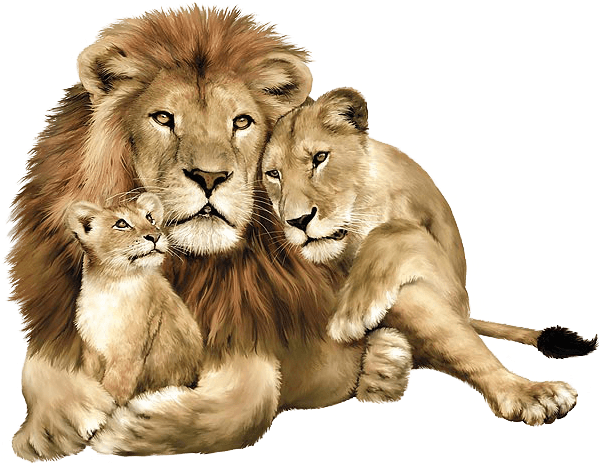 Lion_ Family_ Portrait PNG Image