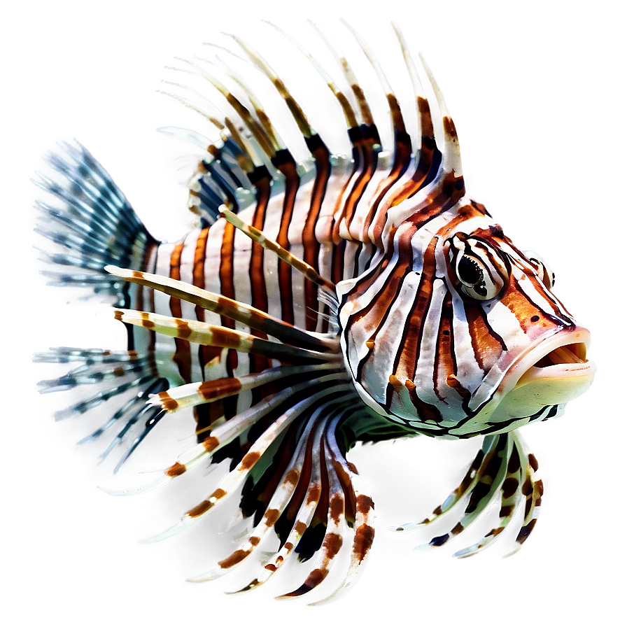 Lionfish Danger Png Nbm PNG Image