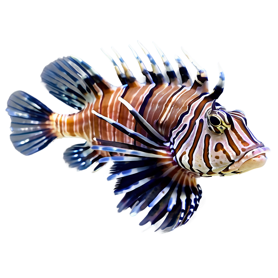 Lionfish In The Sea Png 17 PNG Image