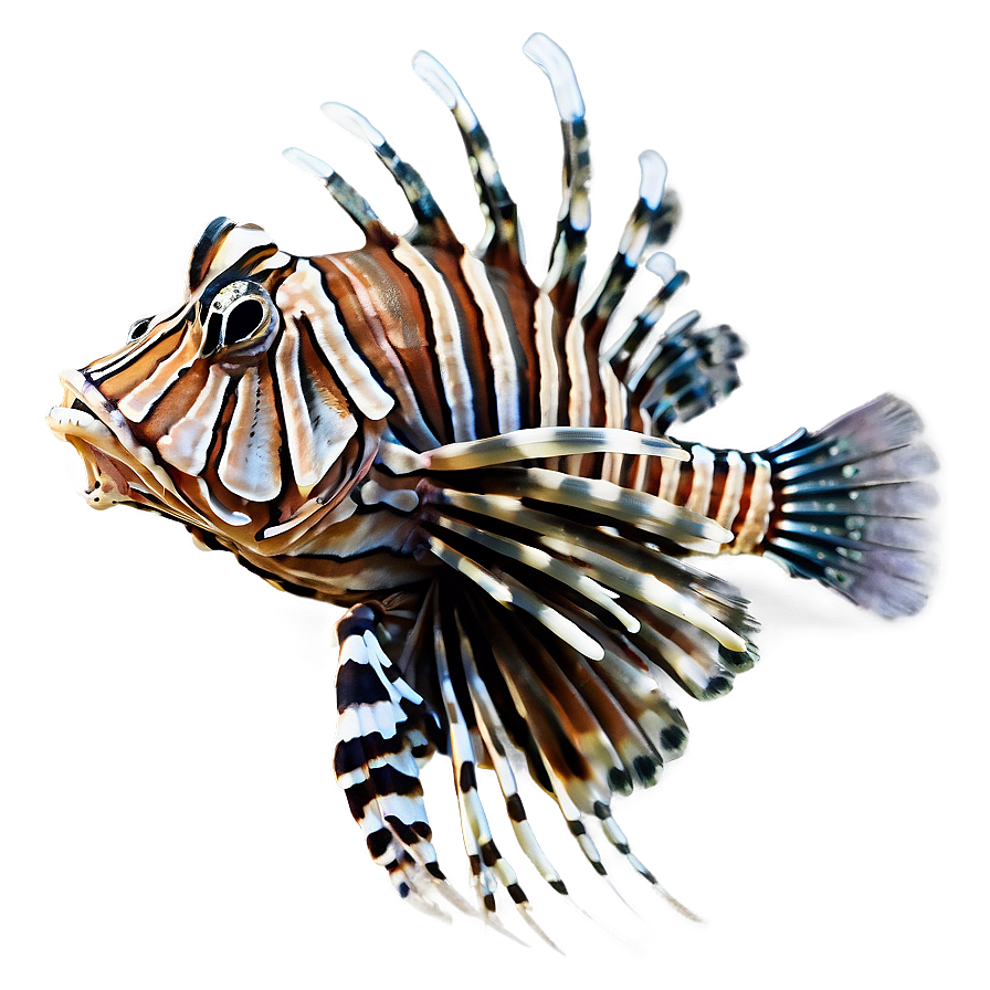 Lionfish Side View Png Qkd50 PNG Image