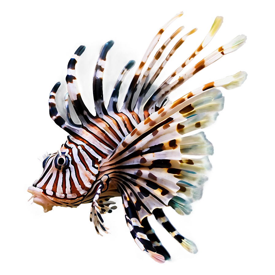 Lionfish Threat Png 9 PNG Image