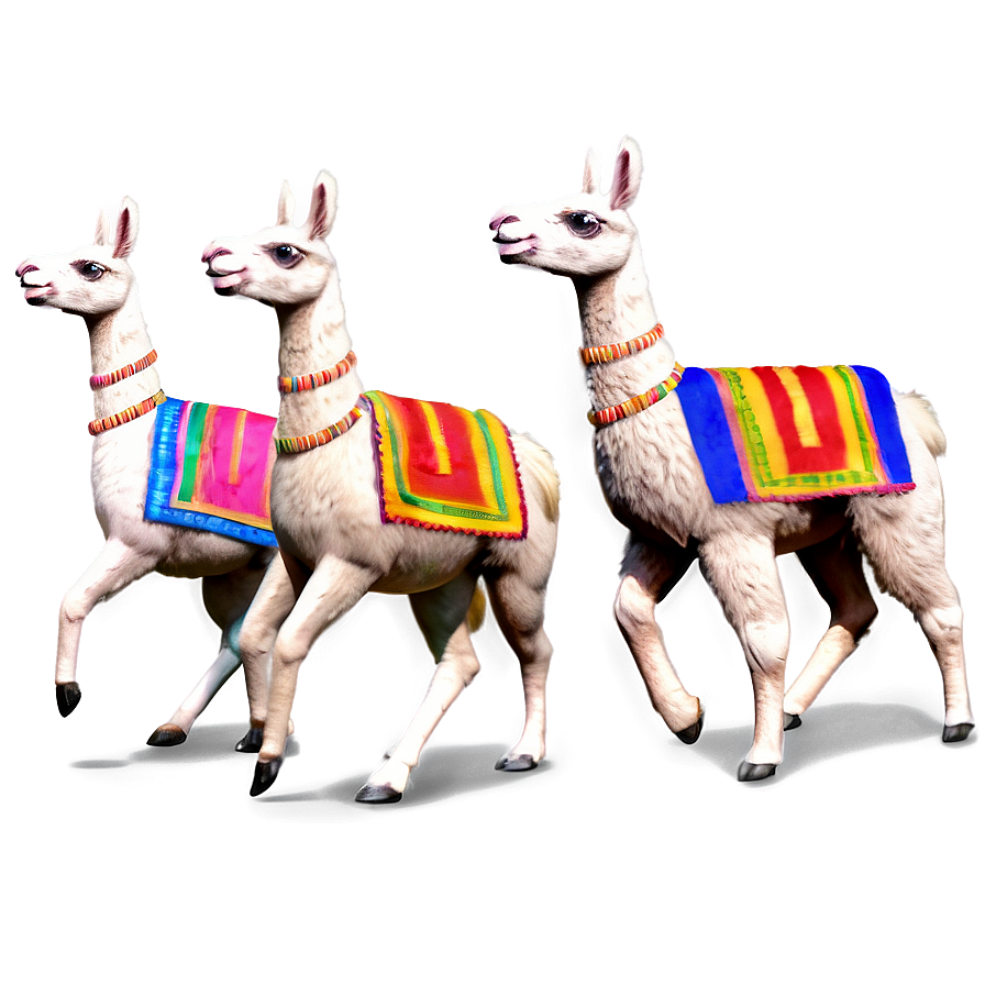 Llama Fiesta Png Sqq78 PNG Image