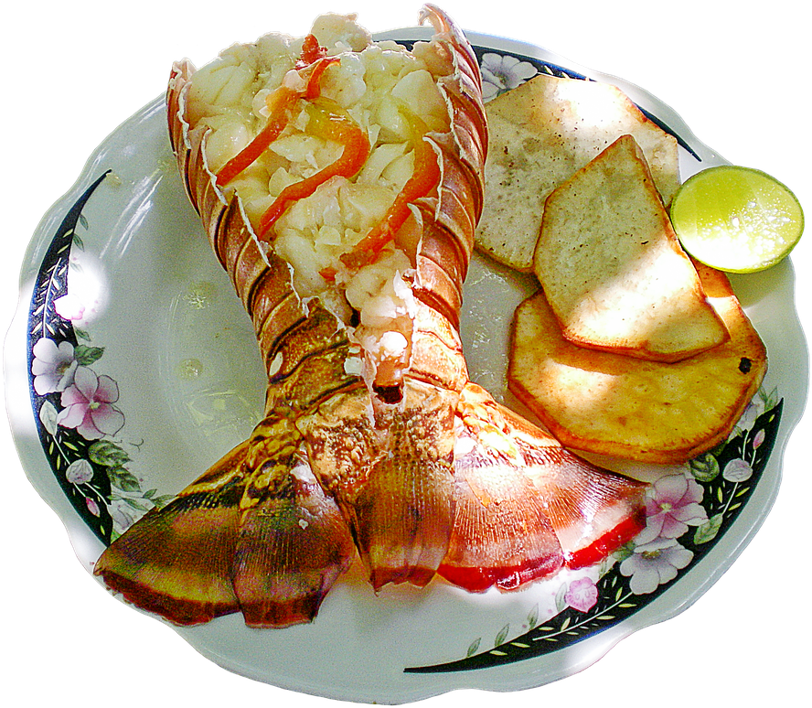 Lobster Dish Gourmet Experience PNG Image