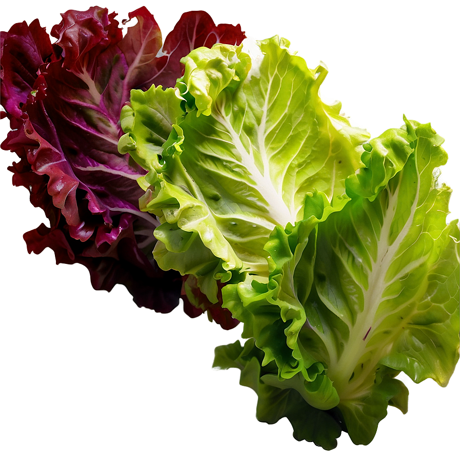 Lollo Rosso Lettuce Png Euq PNG Image