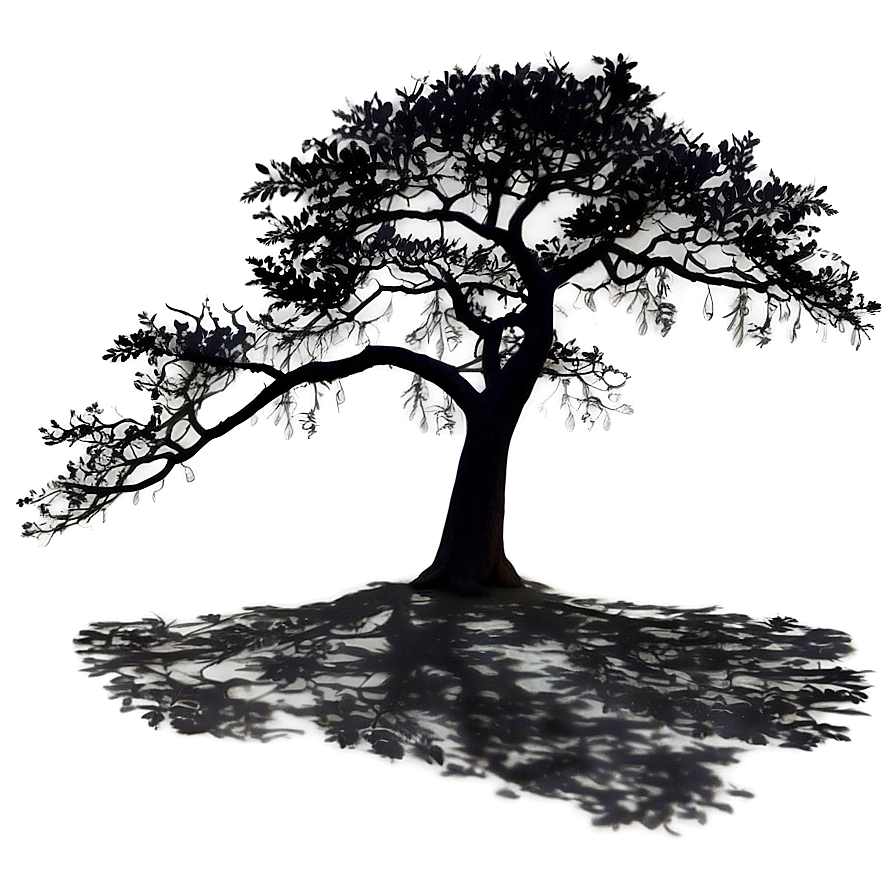 Lone Tree Shadow Png Iul20 PNG Image