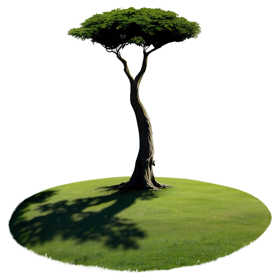 Lone Tree Shadow Png Ste PNG Image