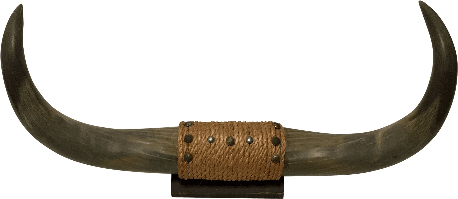 Long Curved Hornswith Leather Band PNG Image