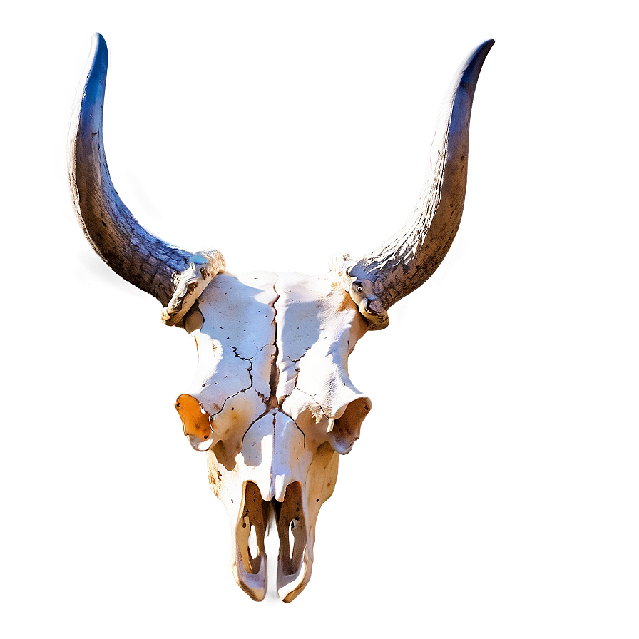 Longhorn Cow Skull Design Png Itt PNG Image