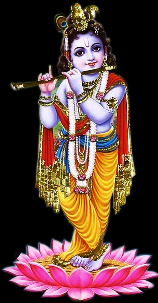 Lord Krishnaon Lotus Flower PNG Image