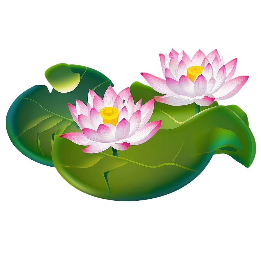 Lotus Bloom Png 04292024 PNG Image