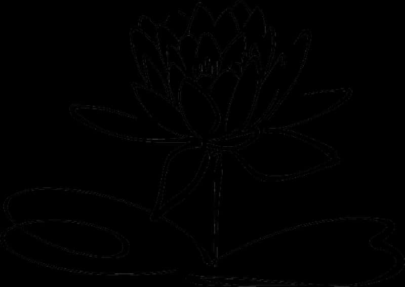 Lotus Flower Outline PNG Image