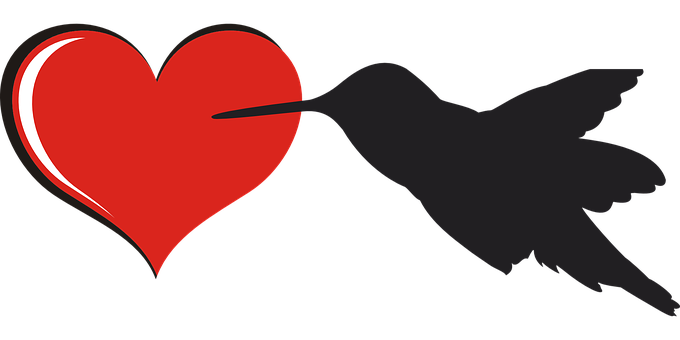 Love Bird Kissing Heart PNG Image