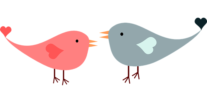 Lovebird Cartoon Illustration PNG Image