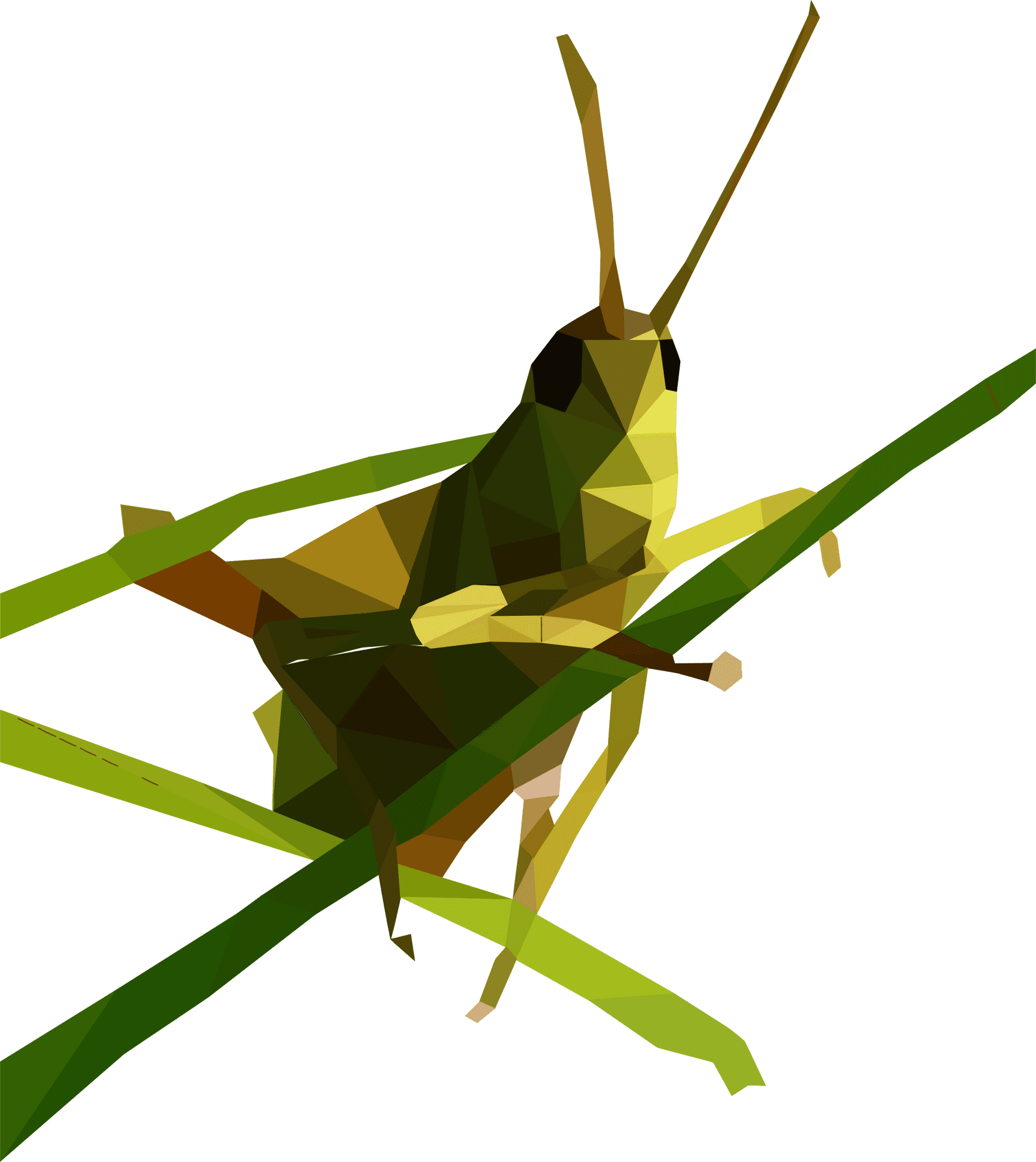 Low Poly Grasshopper Illustration PNG Image