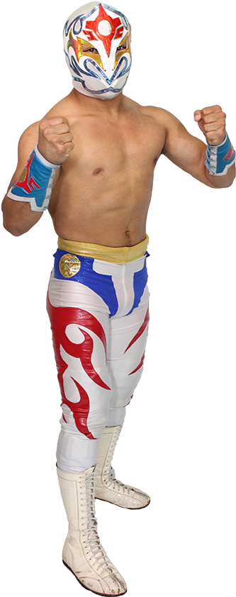 Luchadorin Action Pose PNG Image