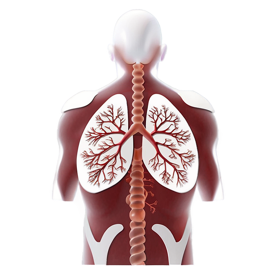 Lungs Disease Awareness Png Spq PNG Image