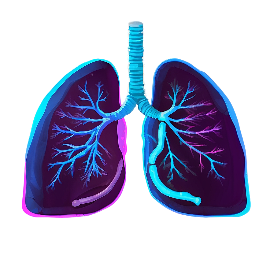 Lungs Healing Process Png Dqm43 PNG Image