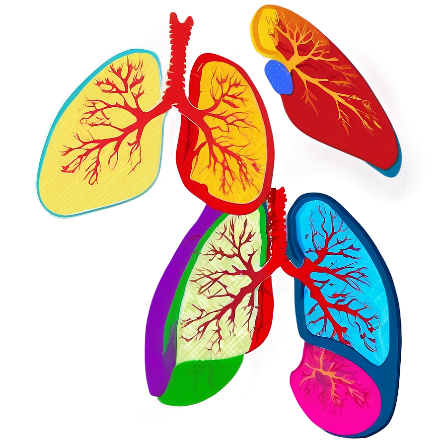 Lungs In Pop Art Style Png Kdg PNG Image