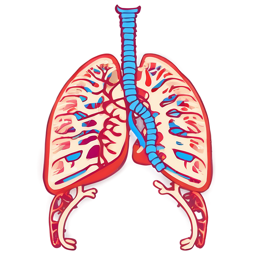 Lungs With Ribcage Outline Png Eok67 PNG Image