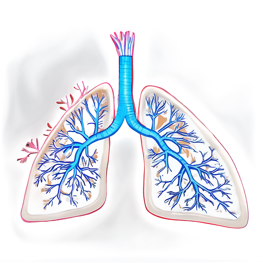 Lungs With Tree Roots Png Wlq75 PNG Image