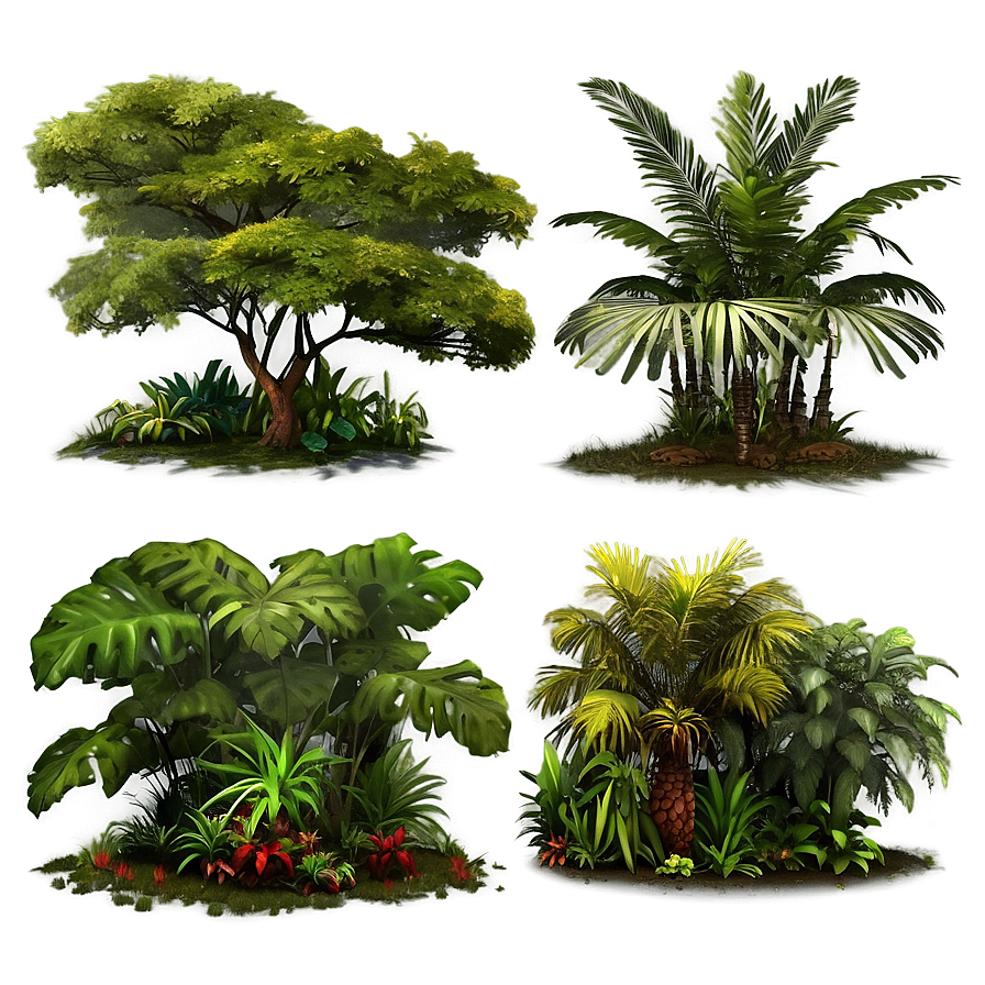 Lush African Tropical Forests Png 21 PNG Image