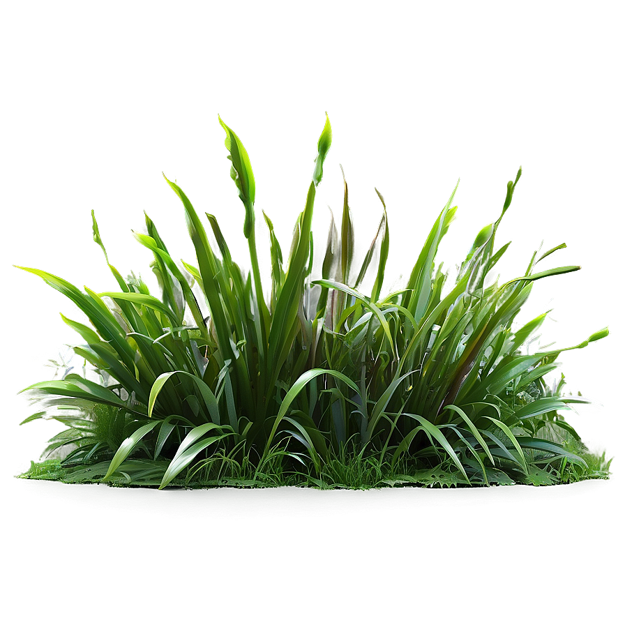 Lush Grass Patch Png Duw34 PNG Image