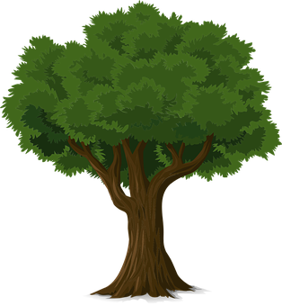 Lush Green Cartoon Tree PNG Image