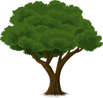 Lush Green Cartoon Tree PNG Image