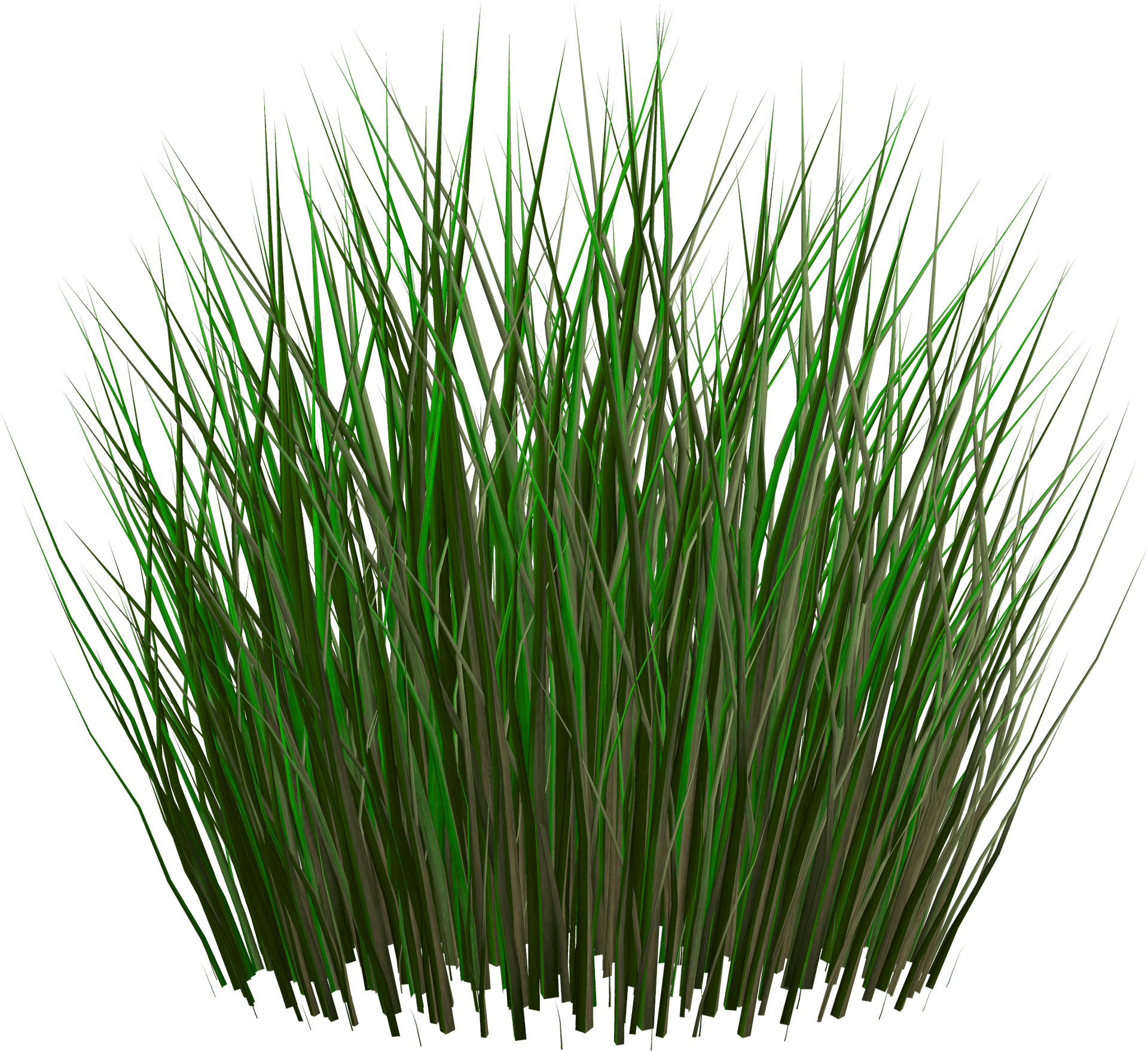 Lush_ Green_ Grass_ Clump PNG Image