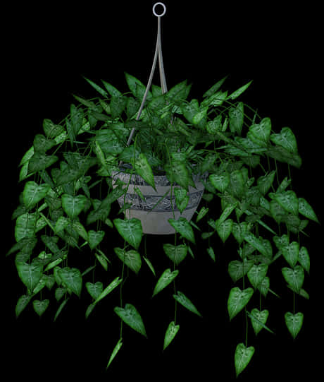 Lush Green Hanging Plant Black Background.jpg PNG Image