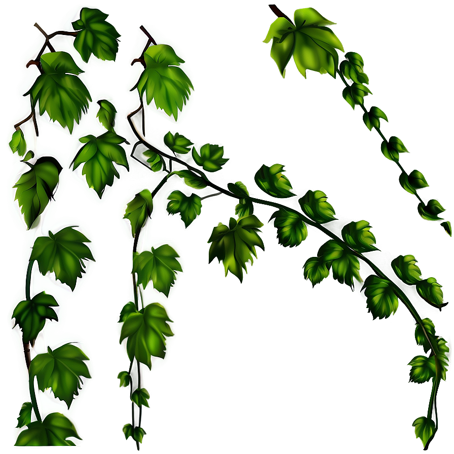 Lush Green Vine Illustration PNG Image